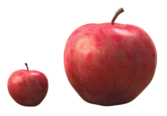 Small and large apple size comparison